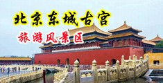 大鸡巴美女日逼黄色网站中国北京-东城古宫旅游风景区